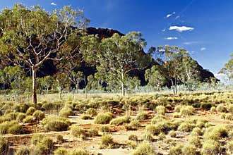 Bungle Bungles (Purnululu) - Purnululu National Park