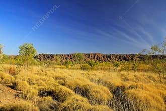 Bungle Bungles (Purnululu) - Purnululu National Park