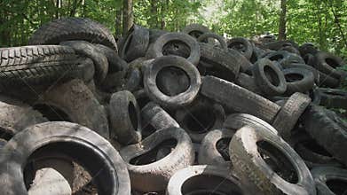 A large collection of old tires accumulates in a wooded area, highlighting the problem of illegal dumping and the