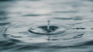 Hypnotic Slow Motion Water Drop Impacting Liquid Surface, Generating Circular Ripples and Splash