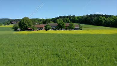 Serene Rural Landscape: Drone Flight Over Green Fields and Farms