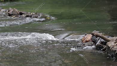 Water stream in the river flowing through stone.