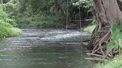 River stream flowing in rainforest near campsite.