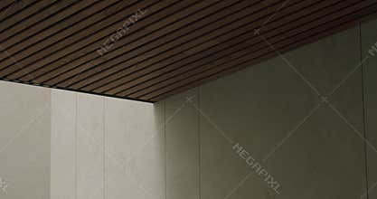 Modern Architecture with Wooden Ceiling and Concrete Walls