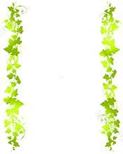 Green Vine Leaf Background Borders