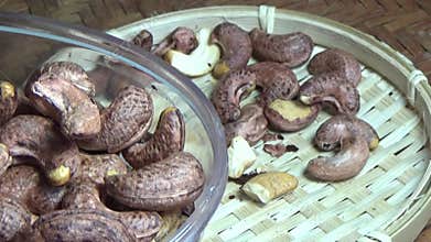 cashew nut scene, cashew shelling