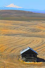 Eastern Oregon Farmland