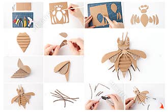 Step-by-step process of making a cardboard insect craft. DIY handmade bug project with cutout pieces, tools, and
