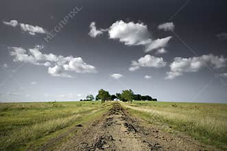 Open Field and a Dirt Road