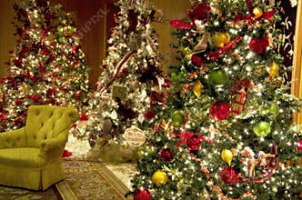 Christmas trees lights luxury hotel lobby