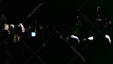 Cheering Crowd in Arena