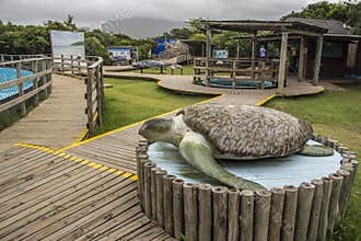 Tamar Project - Florianópolis/SC - Brazil