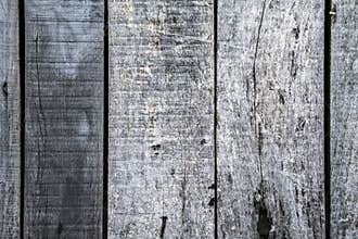 Old Wood Texture