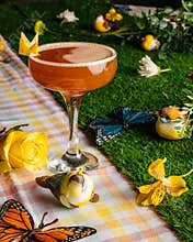 Butterfly-Themed Cocktail Picnic Arrangement on Grass