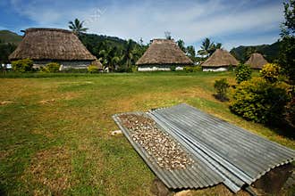 Kava root drying in Navala village, Viti Levu, Fiji