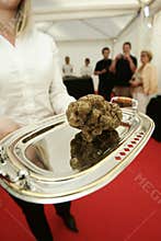 Truffle