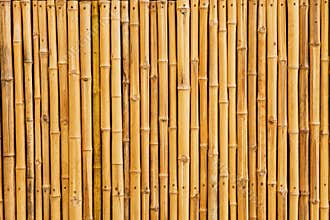 Bamboo fence background