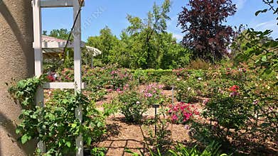 footage of a gorgeous landscape with lush green trees, grass and colorful flowers at Huntington Library and Botanical Gardens in