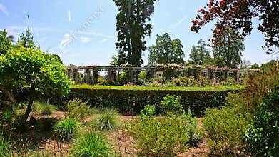 footage of a gorgeous landscape with lush green trees, grass and colorful flowers at Huntington Library and Botanical Gardens in