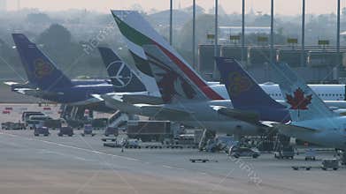 Row of planes at the terminal, view of tails