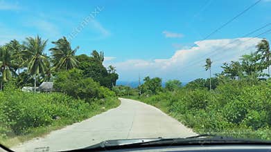 Tropical road with green trees swaying under clear sky