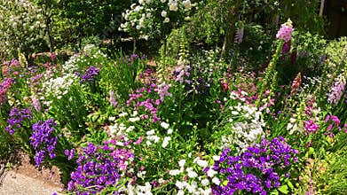 footage of a gorgeous landscape with lush green trees, grass and colorful flowers at Huntington Library and Botanical Gardens