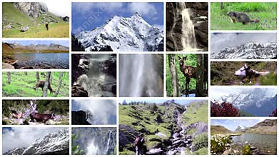 Alps collage. High mountains, flora, fauna and people.