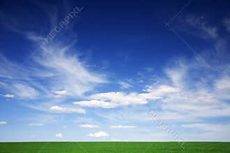Green field, blue skies, white clouds in spring
