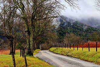 Smoky Mountains -Sparks Lane