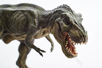 Dinosaur