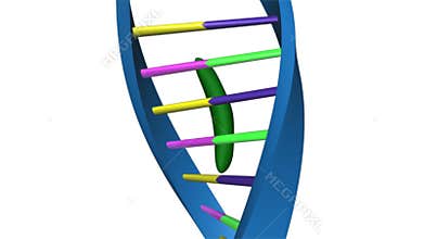 CODE OF PROTEINS