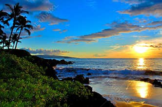 Maui Hawaii Beach Sunset with palm trees