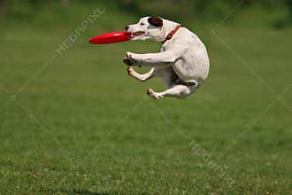 Funny catching