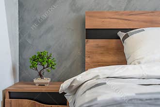 Modern bedroom with bonsai plant on nightstand