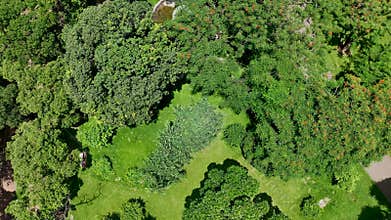 Dense Green Bangladesh City Woodland Area Aerial view