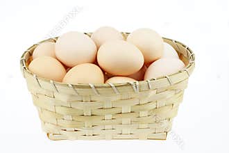 The egg