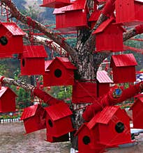 Red Houses