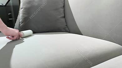 Hand uses sticky roller to remove hair from velvet sofa