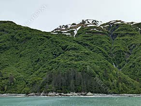 Breathtaking alaskan landscape with evergreens and snow peaks