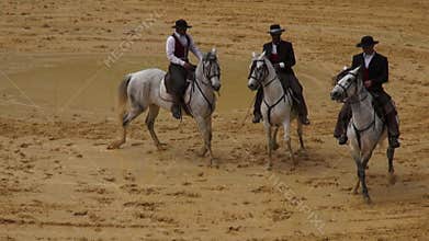 Horseback Riding, Horses, Animals