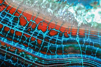 Blue Red Dragon Vein Agate