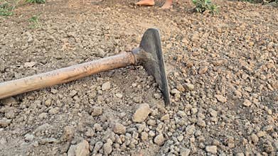 Sharp Agriculture Hoe Tool On Loose Soil In Bangladesh