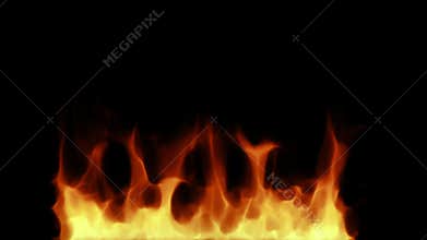 Fire isolated on black background