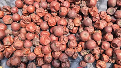 Ripe Jujube Fruits Drying Under Hot Sun Bangladesh