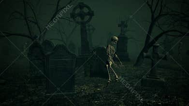 Graveyard Horror animation. Halloween death comes to life