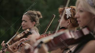 Musical quartet. Three violinists and cellist playing music. Close up.