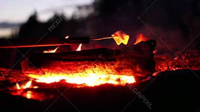 Roasting And Catching Marshmallows On Fire