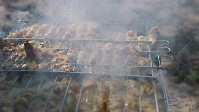 Marinated Meat Skewers Cooking on Outdoor Barbecue Grill with Thick Smoke