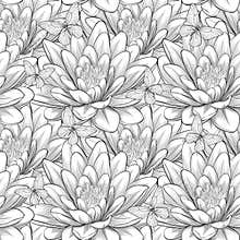 Beautiful monochrome, black and white seamless pattern with lotus flowers. Hand-drawn contour lines and strokes.