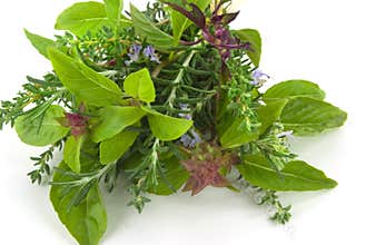Herbs